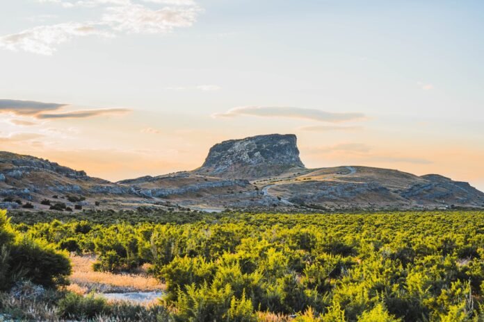 pexels-photo-17452358