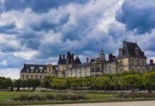 Dance and Performance Traditions: Experiencing Vibrant Cultural Shows