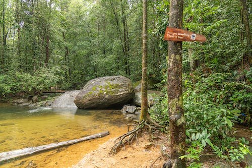 免费 公園_ 卵石_ 小河 的 免费素材图片 素材图片