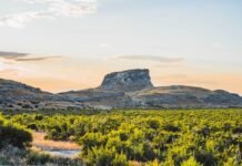 Pampered in Paradise: Luxurious Spa Retreats and Wellness Getaways