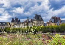 Mountain Escapades: Adventures on Serpentine Roads